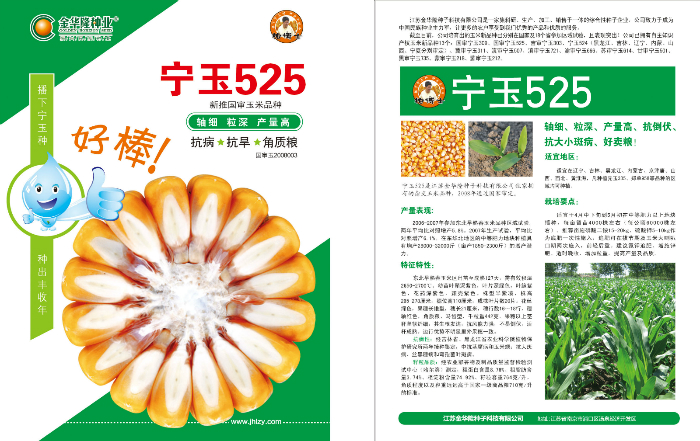 宁玉525
