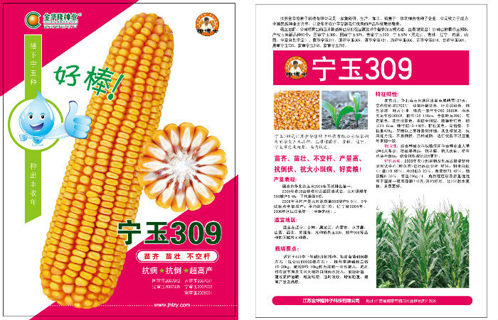 宁玉309