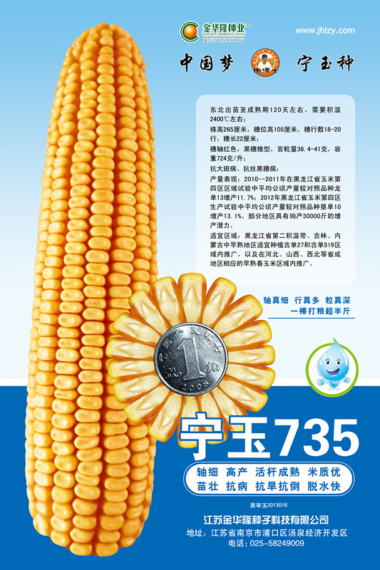 宁玉735