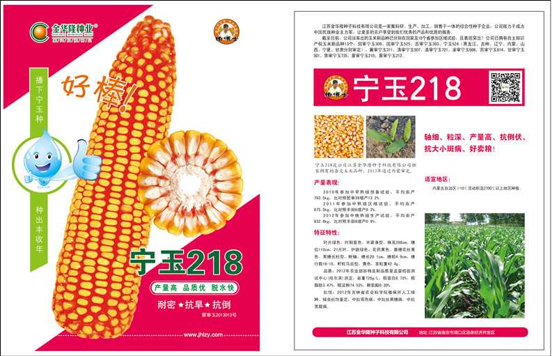 宁玉218
